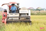 Được mùa - được giá, nông dân Cẩm Xuyên phấn khởi thu hoạch lúa xuân