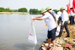 Các địa phương Hà Tĩnh thả cá giống tái tạo nguồn lợi thủy sản