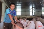 Giá lợn hơi tăng, người chăn nuôi vẫn thận trọng tái đàn