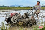 Vụ lúa hè thu ở Hà Tĩnh: Cơ bản hoàn tất, chủ động né tránh thiên tai
