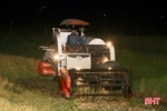 Náo nức ra đồng gặt lúa xuyên đêm