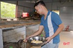 Nhiều mô hình kinh tế nông nghiệp cho hiệu quả cao ở xã ven đô Hà Tĩnh