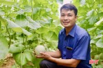 Mục sở thị mô hình trồng dưa lưới công nghệ cao ở Vũ Quang