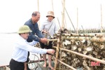 Độc đáo mô hình nuôi hàu tự nhiên quy mô lớn nhất Hà Tĩnh