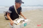 Ngư dân Lộc Hà kéo lưới gần bờ trúng mẻ cá trị giá 100 triệu đồng