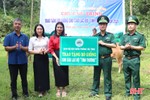 Bộ Chỉ huy Bộ đội Biên phòng Hà Tĩnh tặng bò cho CLB Tình thương