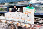 Hà Tĩnh hỗ trợ tiêu thụ gần 50 tấn cam sành Hà Giang