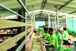 “Sân chơi” giúp nông dân Hương Khê nhân rộng các mô hình kinh tế