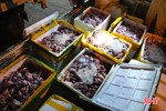 Thu giữ hơn 2 tấn thịt chim cút không rõ nguồn gốc vận chuyển qua Hà Tĩnh