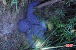 Một phụ nữ ở Hương Khê chết bất thường trong rừng
