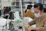 Nhật Bản ban hành luật kiểm soát nhập cư sửa đổi để thu hút lao động nước ngoài