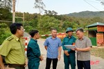 Chủ tịch UBND tỉnh ra công điện về phòng cháy, chữa cháy rừng