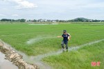 Cơ quan chuyên môn Sở NN&PTNT hướng dẫn phòng trừ sâu bệnh hại lúa hè thu