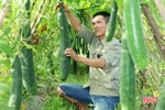 Vũ Quang phát triển nhiều mô hình sản xuất nông nghiệp hữu cơ