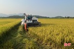 Can Lộc thu hoạch hơn 2.500 ha lúa xuân