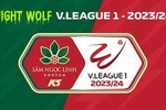 Lịch thi đấu V-League vòng 14: Hà Nội vs Nam Định, Thanh Hóa vs Công an Hà Nội, Hà Tĩnh vs Bình Dương