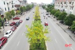 Rực rỡ sắc hoa trên các tuyến đường ở thành phố Hà Tĩnh