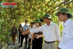 Thạch Hà: Không còn xã dưới 10 tiêu chí nông thôn mới