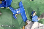 Không có lỗi kỹ thuật trong vụ rơi máy bay Ai Cập