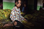 Báo động lạm dụng trẻ em trong ngành công nghiệp thuốc lá Indonesia