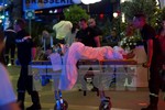 Nhiều nạn nhân trẻ em trong số ít nhất 80 người chết ở Nice