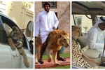 Những hình ảnh “bá đạo” chỉ có ở Dubai