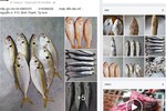 Cẩn thận với cá “sạch” rao bán trên mạng
