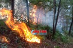 Hàng trăm người dập lửa cứu rừng giữa trưa nắng