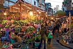 Việt Nam lọt top điểm đến lý tưởng nhất cho phụ nữ thích du lịch một mình