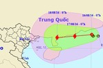 Quảng Ninh đến Hà Tĩnh chủ động ứng phó bão
