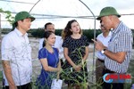 Israel sẵn lòng hỗ trợ Hà Tĩnh phát triển nông nghiệp công nghệ cao