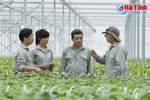Vingroup liên kết cung ứng nông sản "sạch", nhà nông Hà Tĩnh hãy nhanh tay