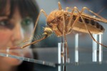 Liên hệ tìm thông tin phụ nữ Việt Nam nhiễm vi rút Zika được phát hiện tại Tokyo