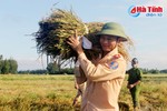 Ảnh đẹp các chiến sỹ công an gặt lúa giúp dân