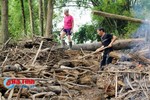 "Lũ gỗ" tấn công nhà dân ở Hương Khê!