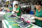 Nhà cung ứng nguyên liệu cho Nike, Adidas muốn mở rộng sản xuất tại Việt Nam
