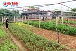 Xây dựng nông thôn mới bền vững từ “5 không, 3 sạch”