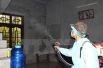 Xuất hiện ổ dịch sốt xuất huyết tại Cẩm Xuyên