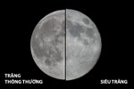Ngắm “siêu trăng” sau 68 năm mới xuất hiện