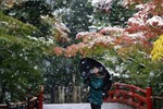 Tuyết rơi đầu mùa biến Tokyo thành xứ thần tiên