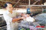 Mô hình nuôi thỏ liên kết ở Vũ Quang: Thất bại do đâu?