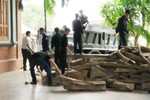 Cục Cảnh sát chống buôn lậu thu giữ lượng lớn gỗ trắc tại Hương Khê
