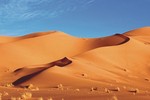 Thủ phạm biến thảo nguyên Sahara thành sa mạc khô cằn