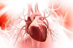 8 thói quen ‘xấu” làm tổn hại trái tim