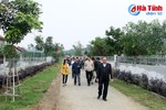 Hợp lòng dân, Hà Tĩnh đã xây dựng trên 5.000 vườn mẫu