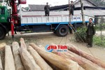 Thu giữ gần 5m3 gỗ tập kết trái phép ở Hương Khê