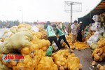 Lật xe container, người dân giúp tài xế thu gom dừa đổ tràn đường