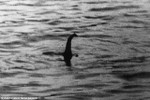 7 ảnh chứng minh quái vật hồ Loch Ness có thật