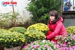Hoa, cây cảnh dịp tết - "Sốt" từ vườn nhà ra chợ online