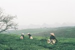 10 ảnh Việt Nam đẹp nhất tuần qua